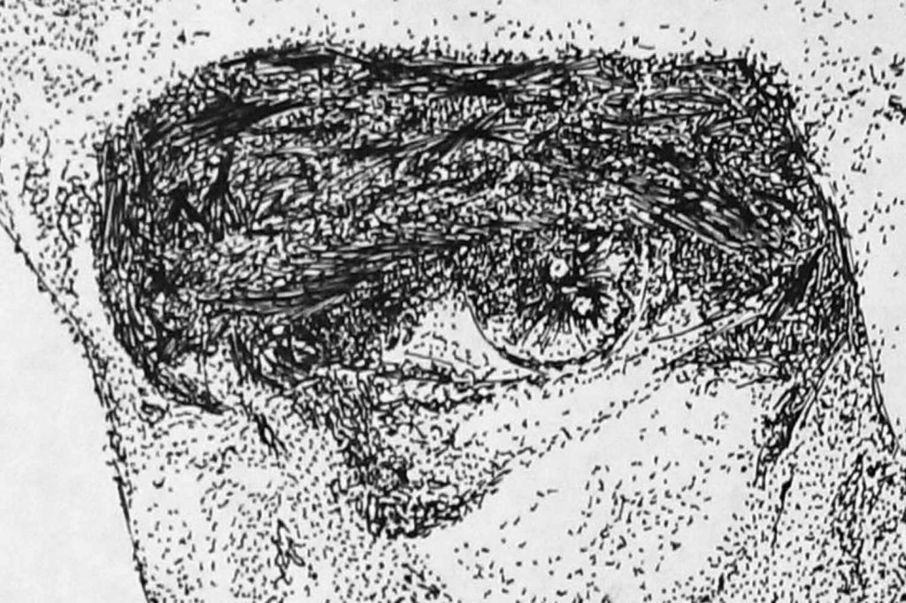 drawing detail 3