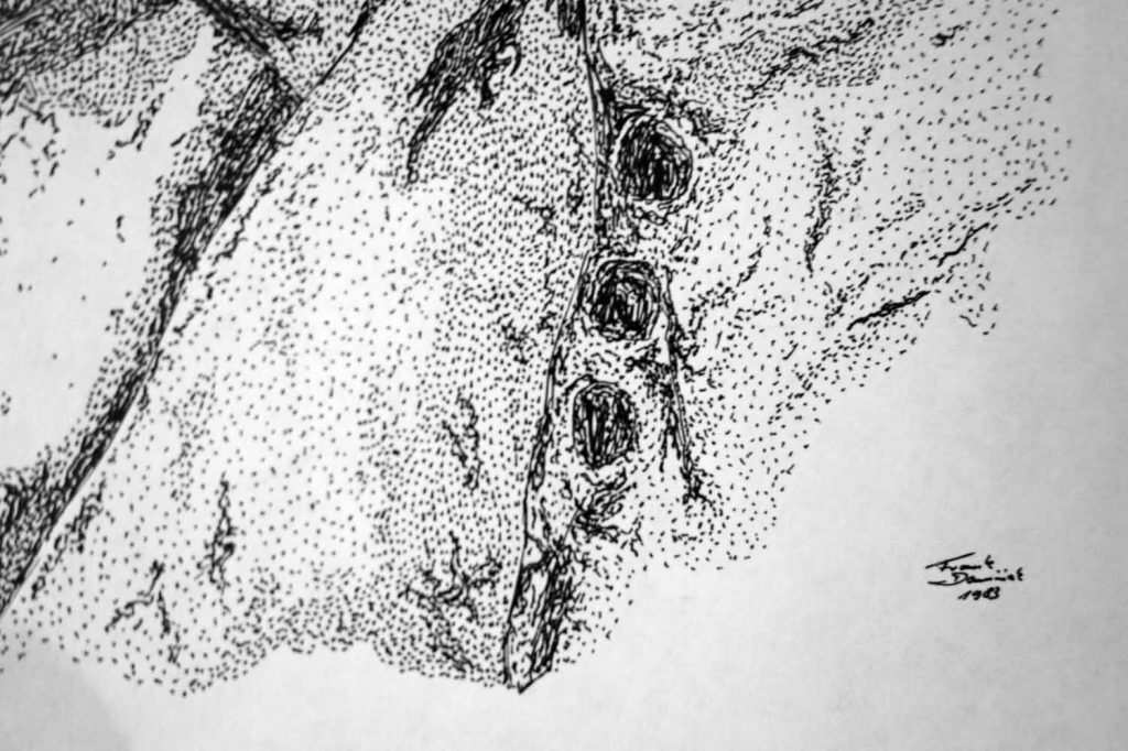 drawing detail 4