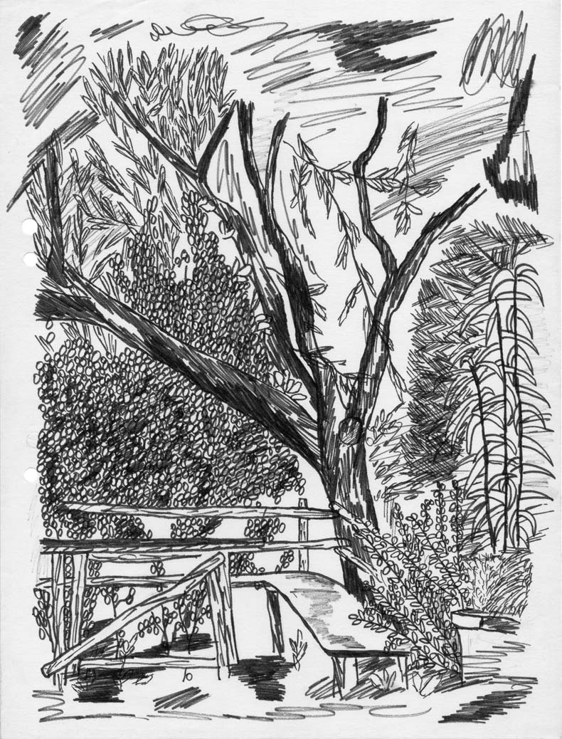 bench under tree