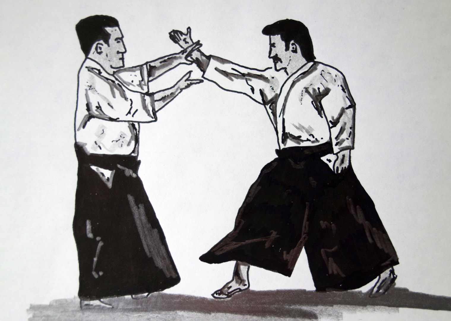 Aikido-Ausstellung-Diashow-Bewegungen