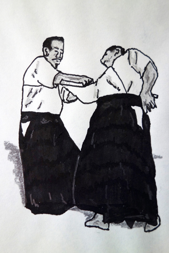 Aikido-Ausstellung-Diashow-Bewegungen