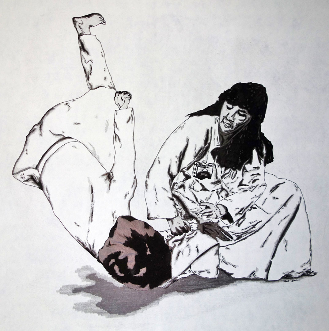 Aikido-Ausstellung-Diashow-Kontrolle