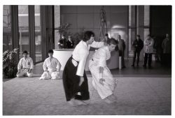 Aikido letzte Vorführung