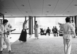 Photo Aikido Vorführung