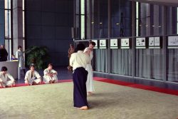 Aikido Vorführung