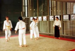 Aikido Vorführung