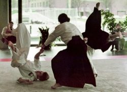Aikido Eröffnung Session