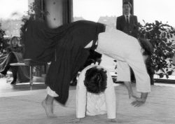 Aikido Eröffnung Session