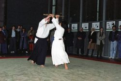 Aikido Vorführung
