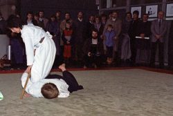 Aikido Vorführung
