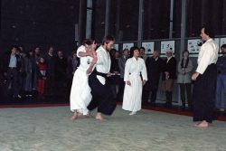Aikido Vorführung