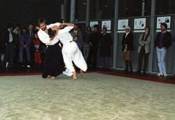 Aikido Vorführung