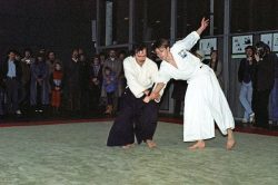 Aikido Vorführung