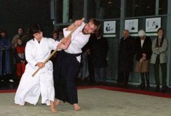 Aikido Vorführung