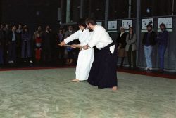 Aikido Vorführung